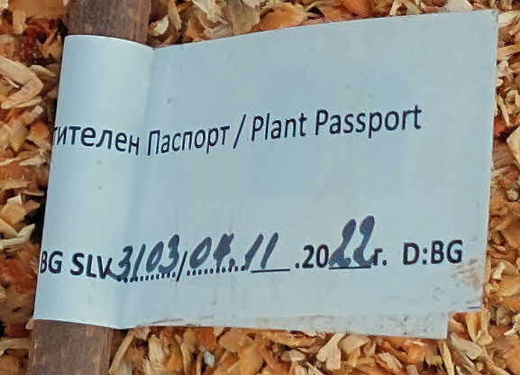 Europischer Pflanzenpass 2 BkD