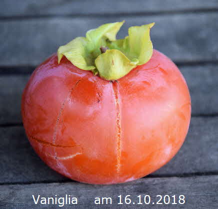 Vaniglia 16102018-4 BkD1